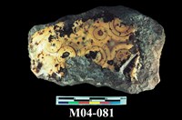 藏品(霰石)的圖片